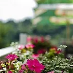 Rakovec Hotel 3*