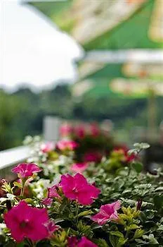 Rakovec Hotell 3*